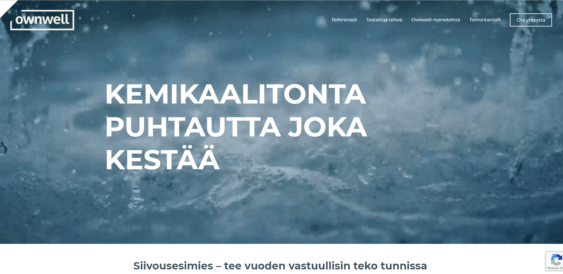 Ownwell verkkosivut Wordpressillä - kuvakaappaus